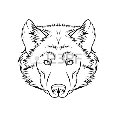 450x450 Wolf's Head Stock Photos Amp Pictures. Royalty Free Wolf's Head