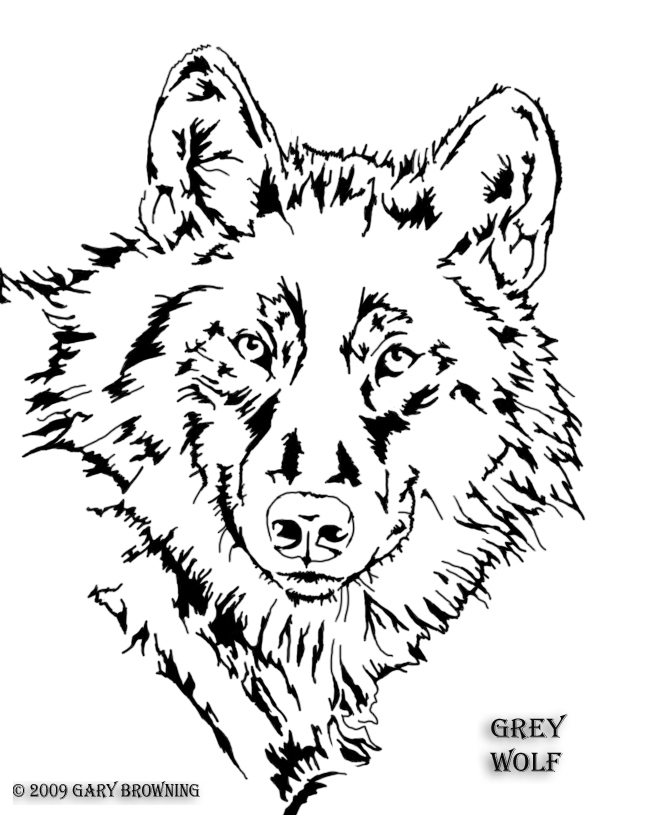 653x815 Wolf Pattern