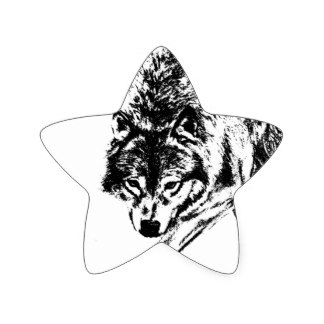 324x324 Wolf Drawing Stickers Zazzle