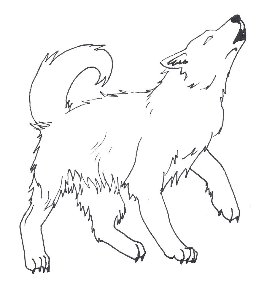 Wolf Pup Drawing at GetDrawings | Free download