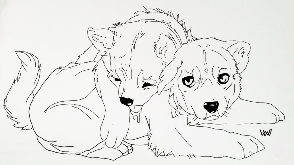 1024x576 Free) Wolf Pup Lineart By Wild Willow