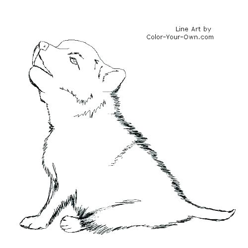 500x500 Puppies Coloring Page Baby Puppy Coloring Pages Wolf Color Page