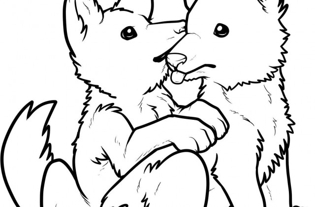 640x420 Tag For How To Draw A Wolf Puppy Cute Sleeping Wolf Puppy