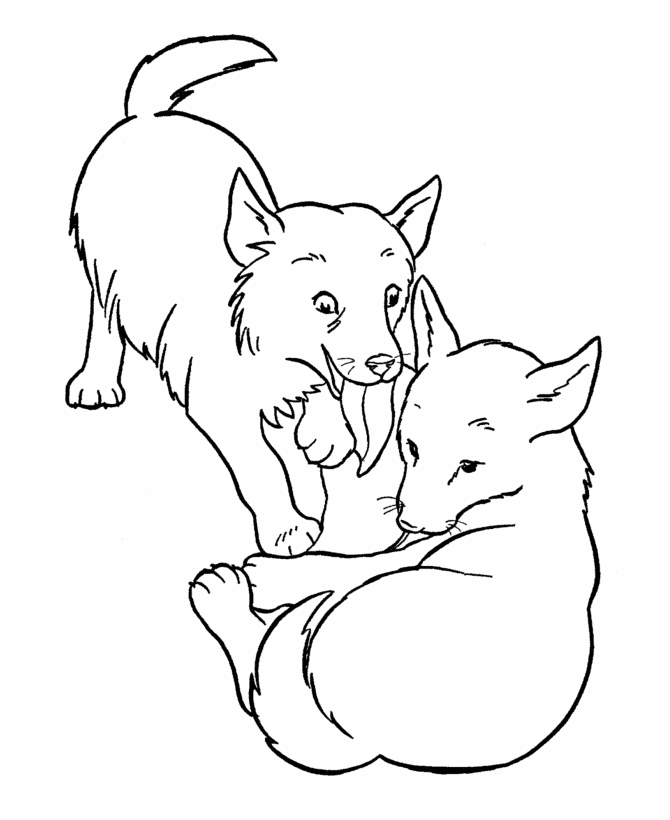 670x820 Wolf Pup Coloring Pages
