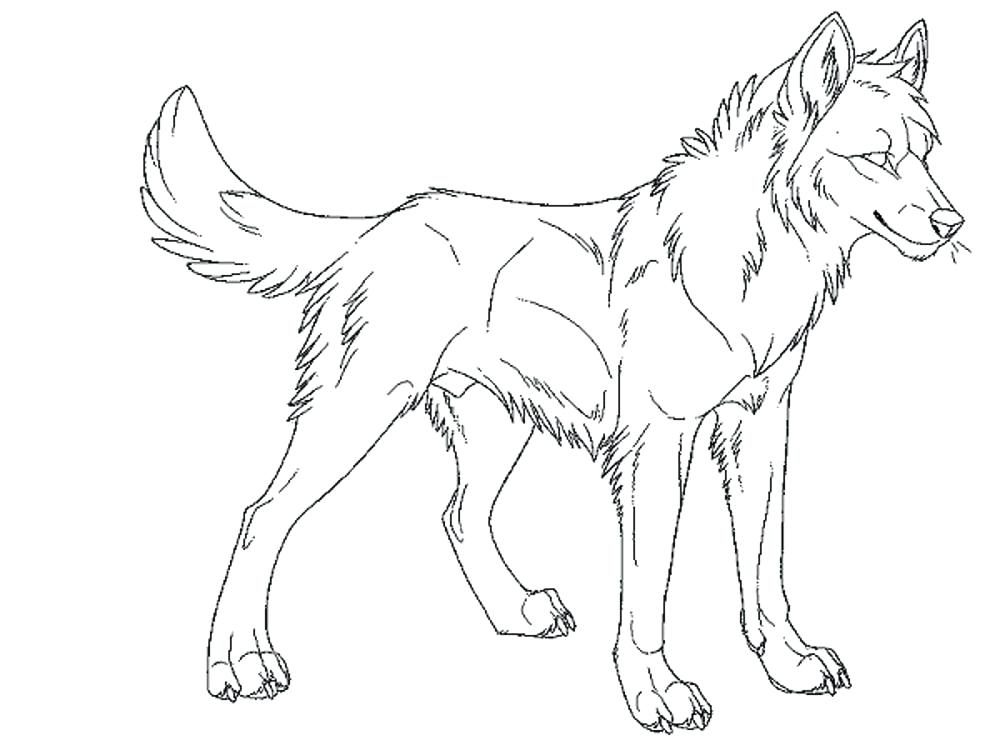 1000x750 Wolf Pup Coloring Pages Charming Wolf Pup Coloring Pages Fee Full