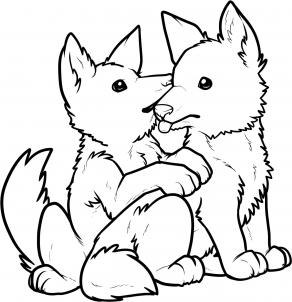 292x302 How To Draw Wolf Pups, Wolf Puppies Step 12 Sketching Ideas