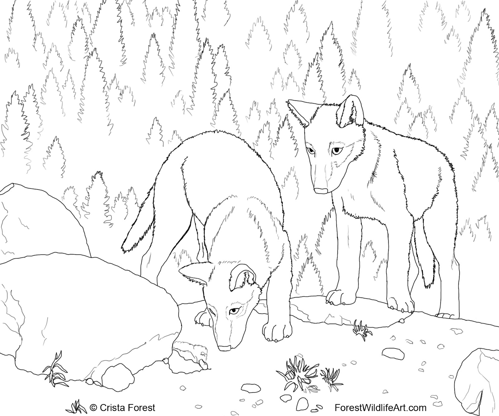 1600x1334 Forest Wildlife Art Wolf Pups Coloring Book Page