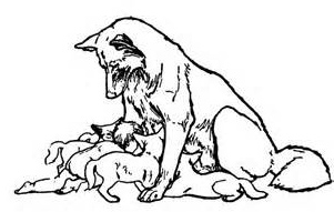 301x191 Wolf Woman Shamanic Drum