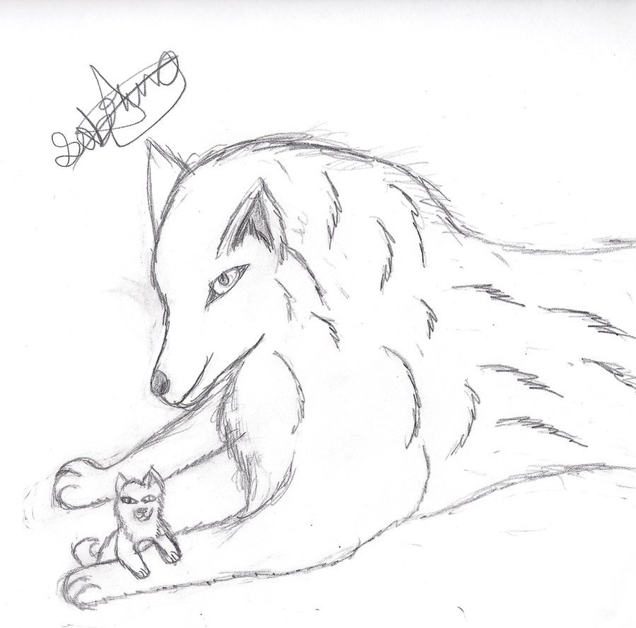 899x888 Mother Wolf And Pup By Bestfriendsallways