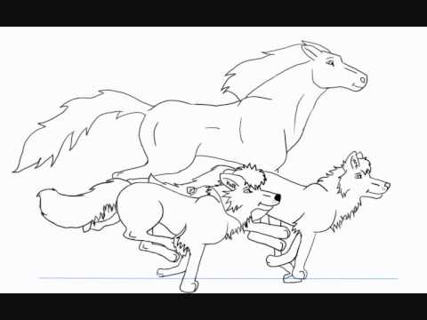 480x360 Horse And Wolf Run (Outline Test)