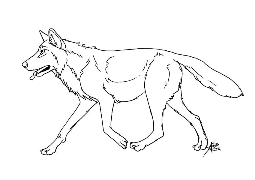 Wolf Running Drawing at GetDrawings | Free download