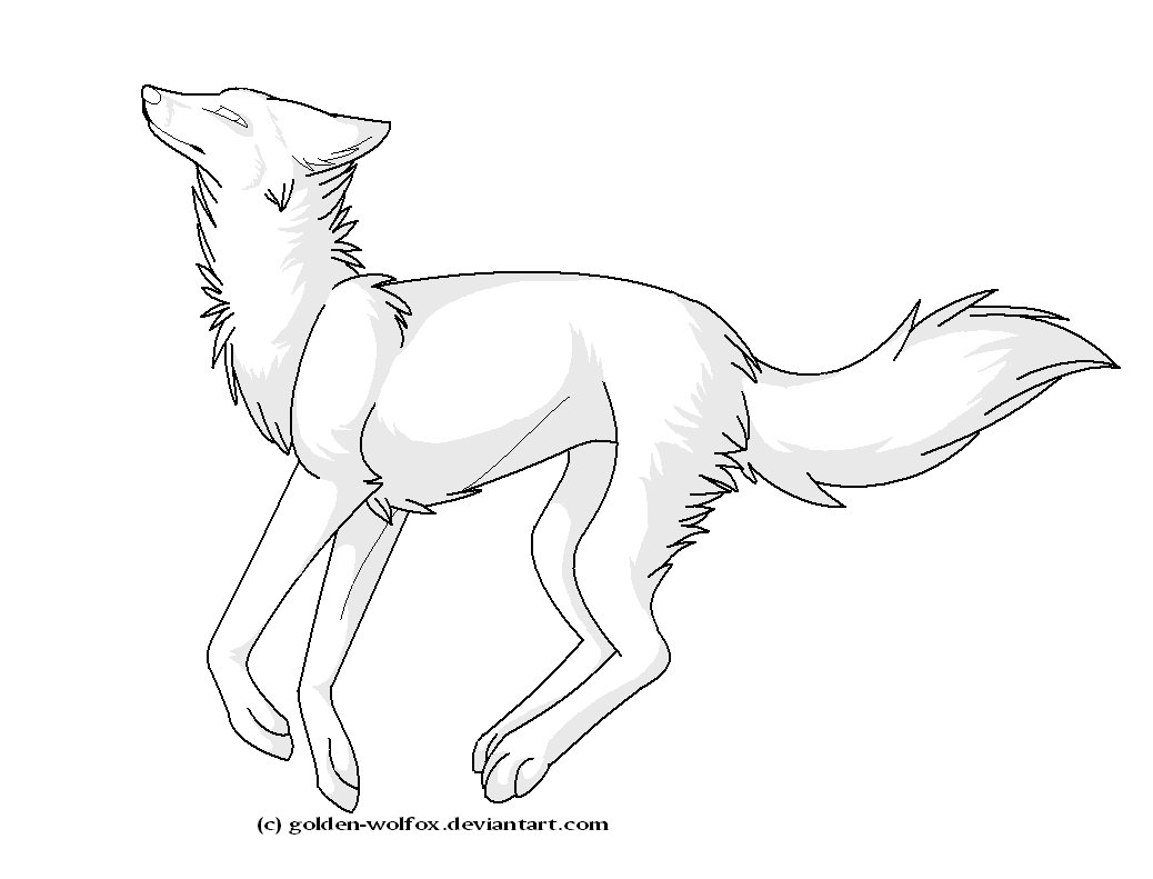1038x791 Running Wolf Lineart By Golden Wolfox