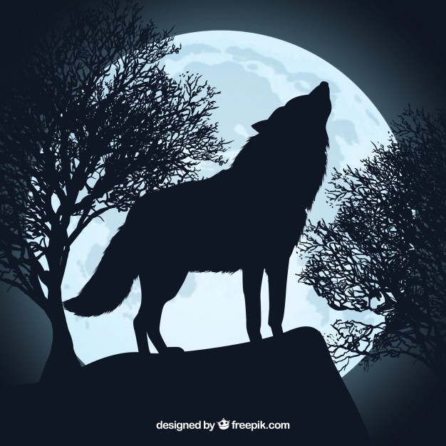 626x626 Howling Wolf Silhouette And Full Moon Vector Free Download