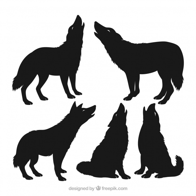 626x626 Pack Of Wolf Silhouettes Vector Free Download