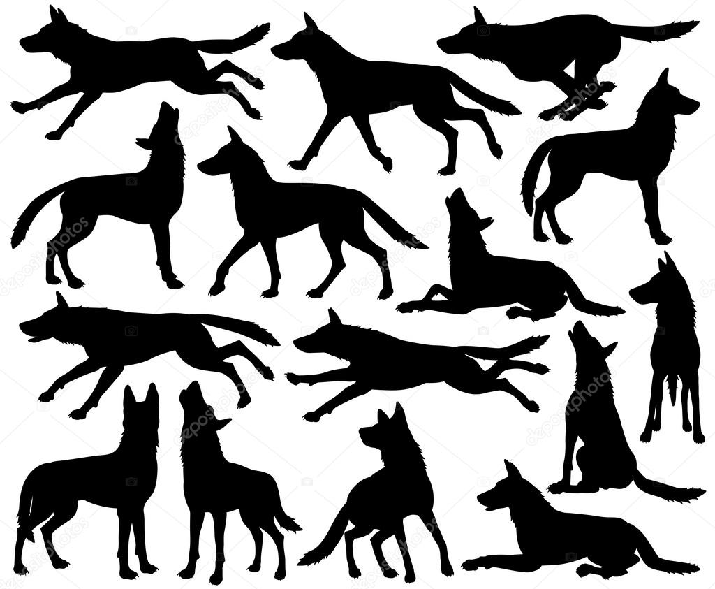 1024x843 Wolf Silhouettes Stock Vector Tawng