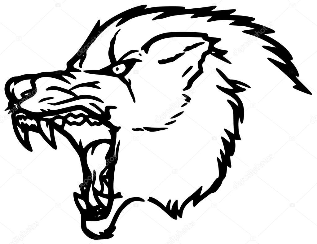 1023x788 Scary Wolf Silhouette Head Stock Vector Yyordanov