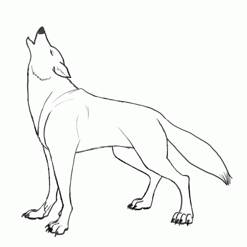 800x800 Wolf Drawings Draw Wolf Howling. Howling Wolf. Perfect How To Draw