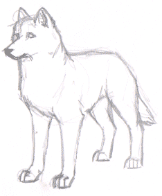234x283 Draw A Wolf