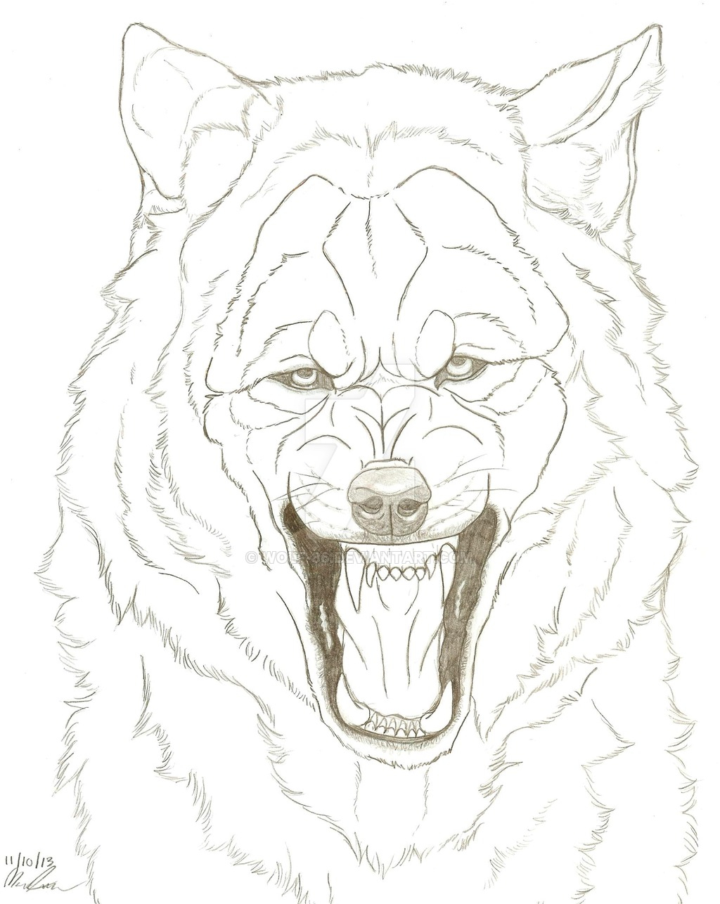 1024x1286 Snarling Wolf Drawing