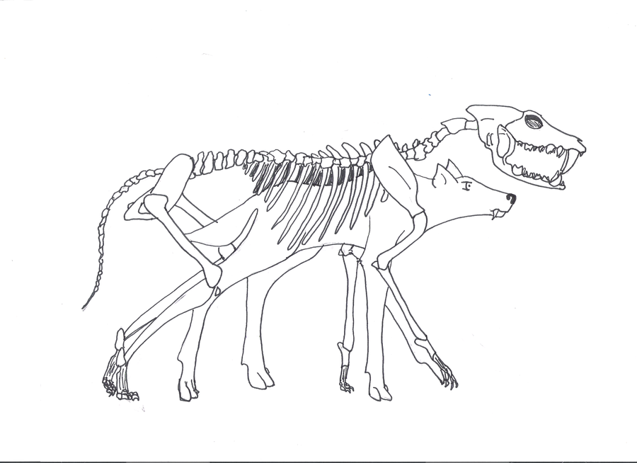 900x654 Wolf And Ancestor By Kazkay The Dragon