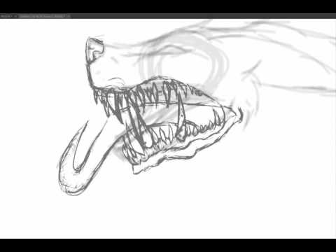 480x360 Skull Wolf. Occharacter Of Mines, Part 1!