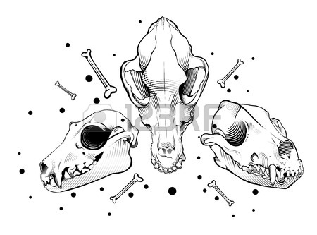 450x333 Black And White Wolf, Dog Skull Royalty Free Cliparts, Vectors