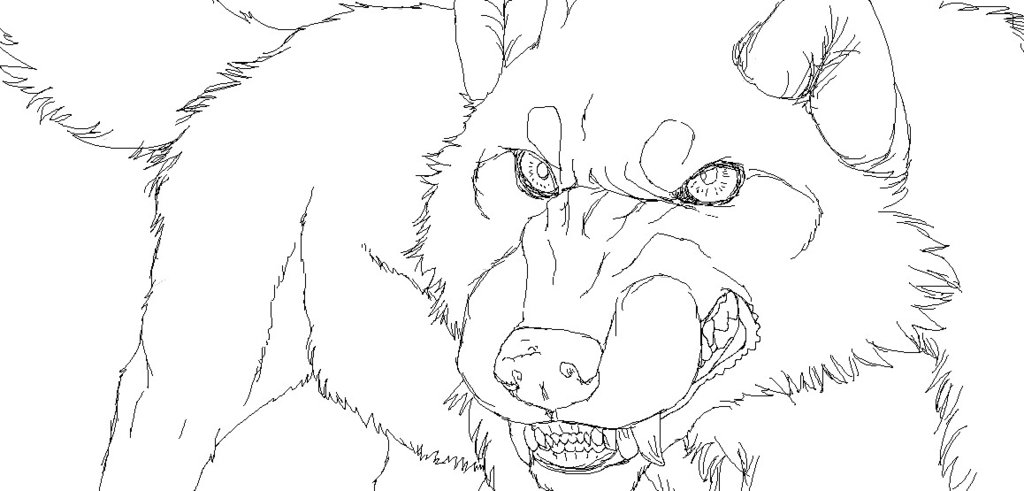 1024x491 Ms Paint Sketching Snarling Wolf By Ancientwolfspirit