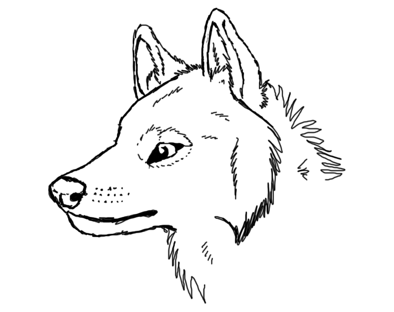 775x614 Snarl Wolf By Xconcentrated Apples