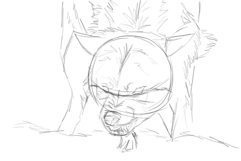 800x533 Snarling Wolf