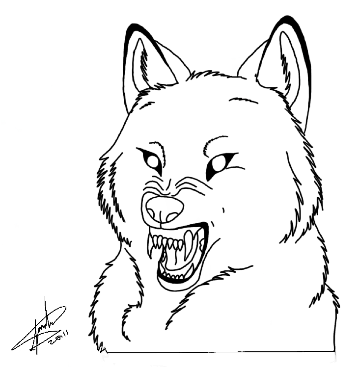 731x748 Wolf Snarl Lineart By Juanitawolf