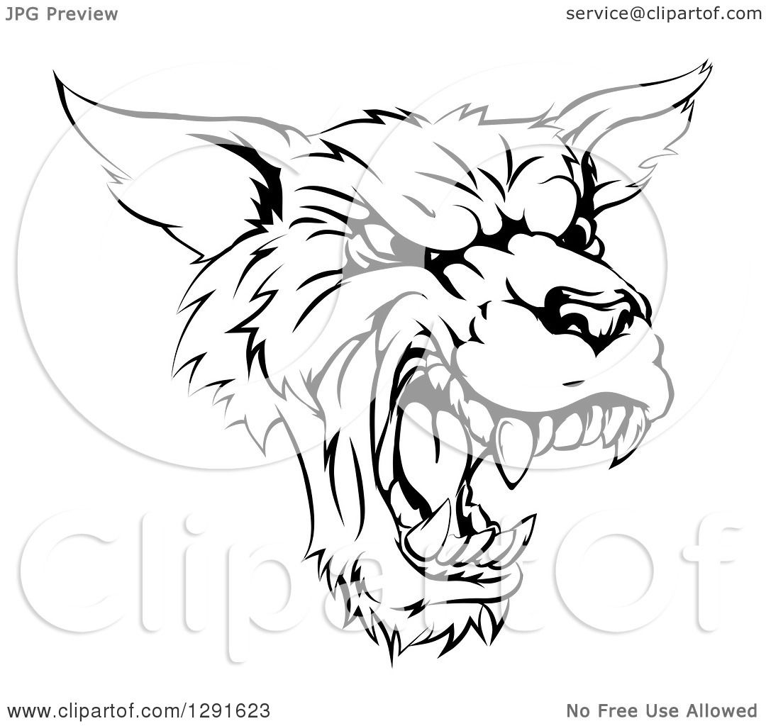 1080x1024 Clipart Of A Black And White Vicious Snarling Wolf Mascot Head
