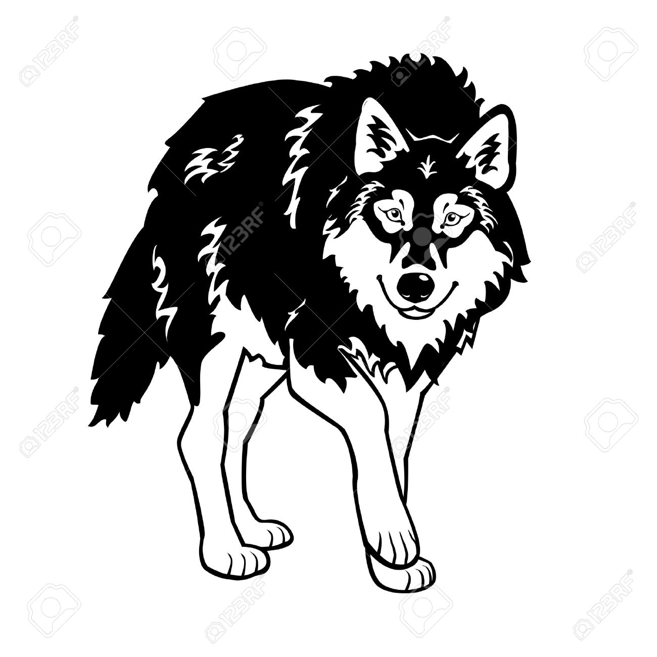 1300x1300 Standing Wolf Black And White Isolated On White Background Royalty
