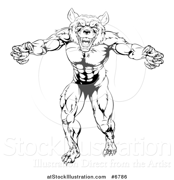 600x620 Vector Illustration Of A Black And White Muscular Wolf Man Mascot