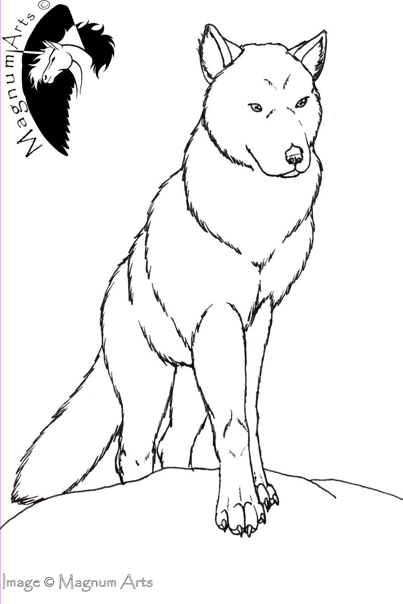 800x1200 Color Me Wolf Standing By Magnum Arts