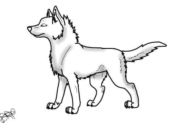 600x400 Drawn Wolf Wolf Standing