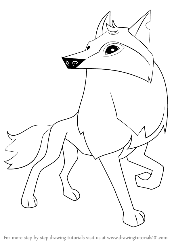 598x844 Learn How To Draw Arctic Wolf From Animal Jam (Animal Jam) Step By