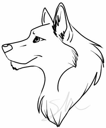 366x443 Wolf Drawing Easy