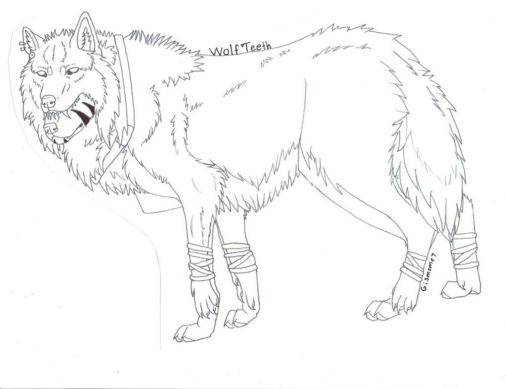 1018x784 Wolf Teeth Wolf (Not Colored) By Gismome7nightmary