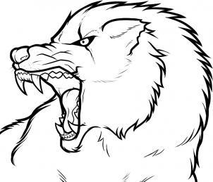 302x259 Drawing Of Angry Wolves