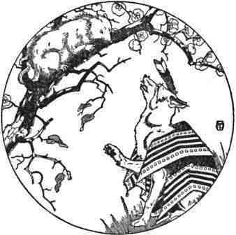 338x336 Coyote Symbol