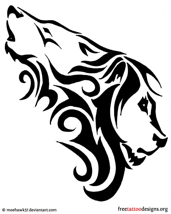 581x725 Collection Of Wolf Tribal Tattoo Sample