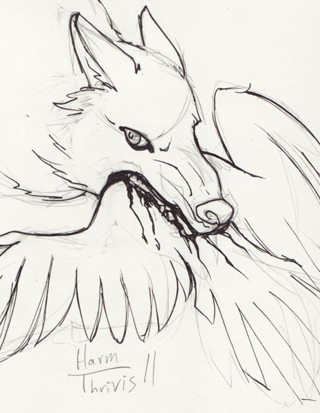 465x600 Sketch Fest!