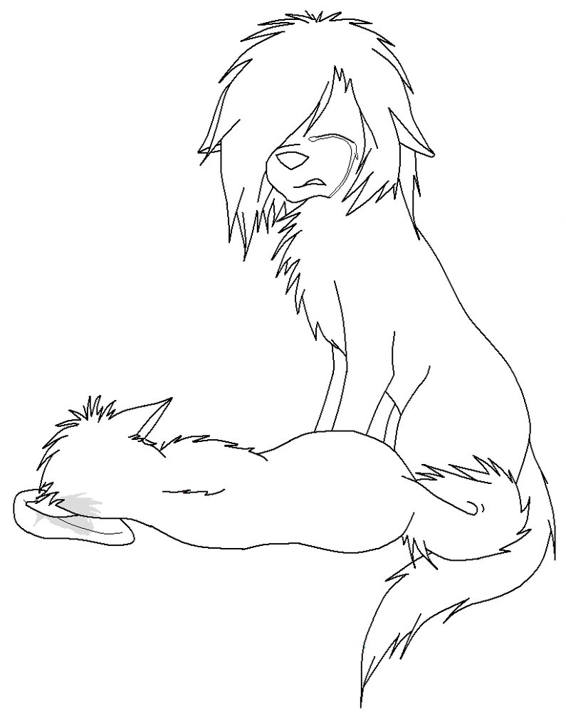 795x1006 Wolf Lineart By Cookie Stalker