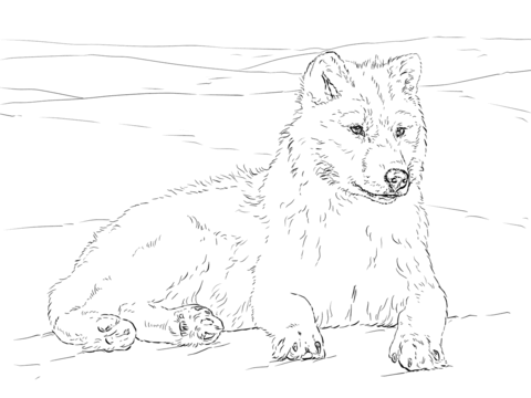 480x360 Wolf Coloring Pages Free Coloring Pages