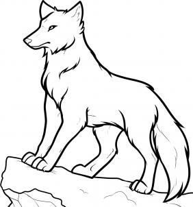 282x302 Wolf Drawing Easy