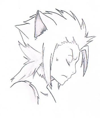 352x416 Wolfman Hitsugaya By Kuro Jigoku