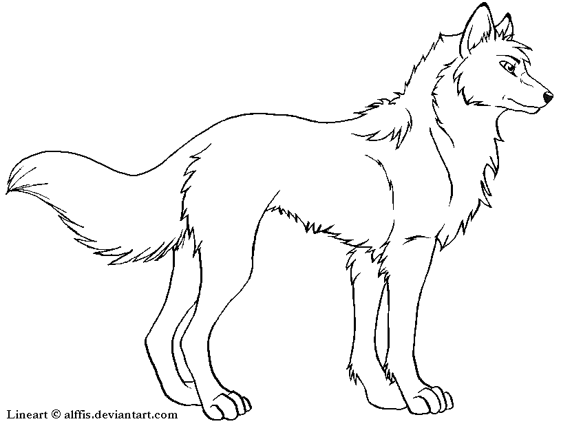 815x619 Wolf Lineart. By Ms Paint Friendly