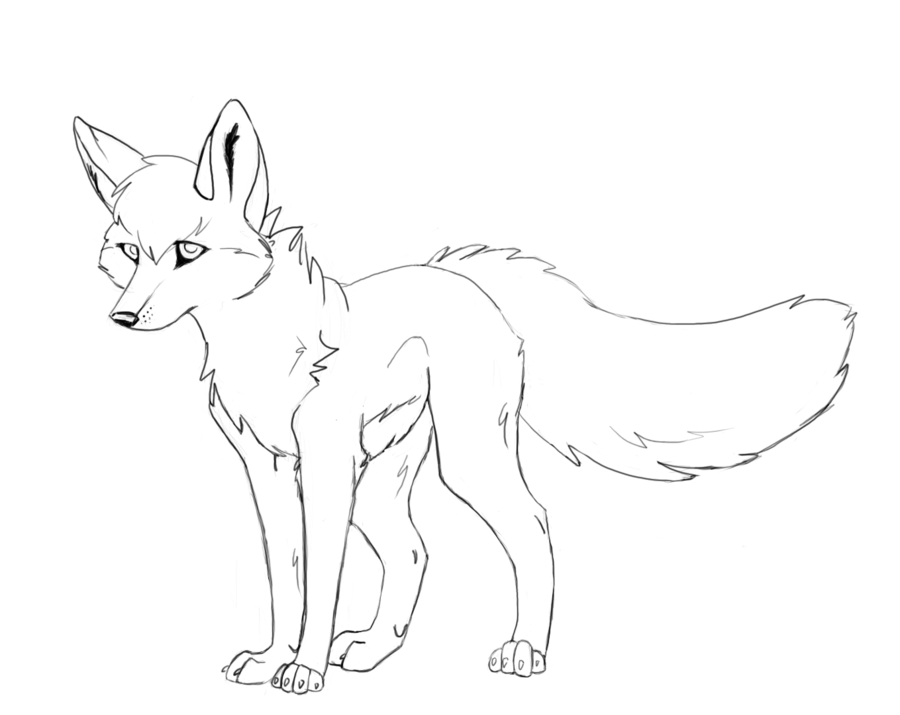 900x715 Wolf Pictures To Draw Many Interesting Cliparts