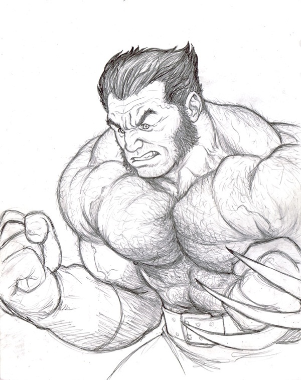 Wolverine Cartoon Drawing