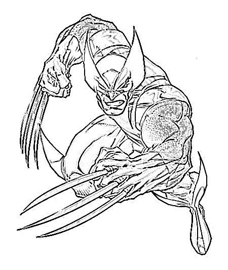 Wolverine Cartoon Drawing at GetDrawings | Free download